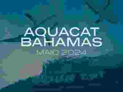 Aqua Cat - Bahamas