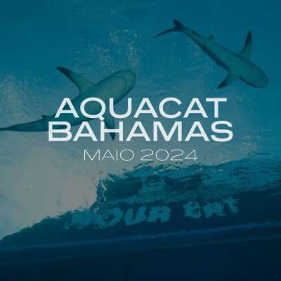 Aqua Cat - Bahamas